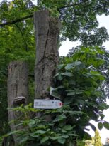 Turistické informačné miesto Horský park s novými tabuľkami z roku 2023, ktoré sem však boli nainštalované buď v druhej polovici roku 2024 alebo v roku 2025 (2025)